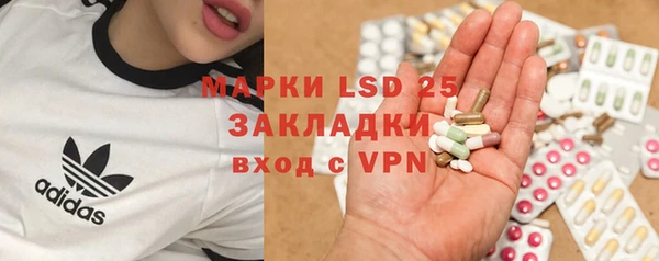 ГАЛЛЮЦИНОГЕННЫЕ ГРИБЫ Алзамай