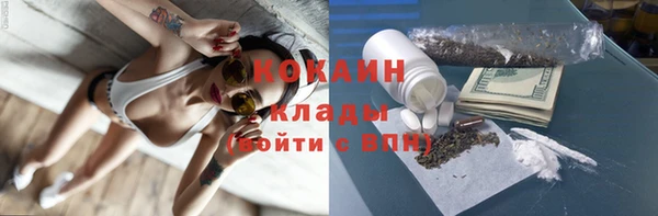 ГАЛЛЮЦИНОГЕННЫЕ ГРИБЫ Алзамай